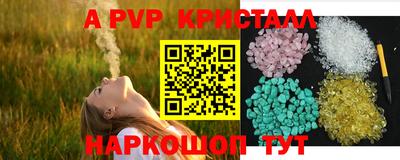 стафф Ярославль