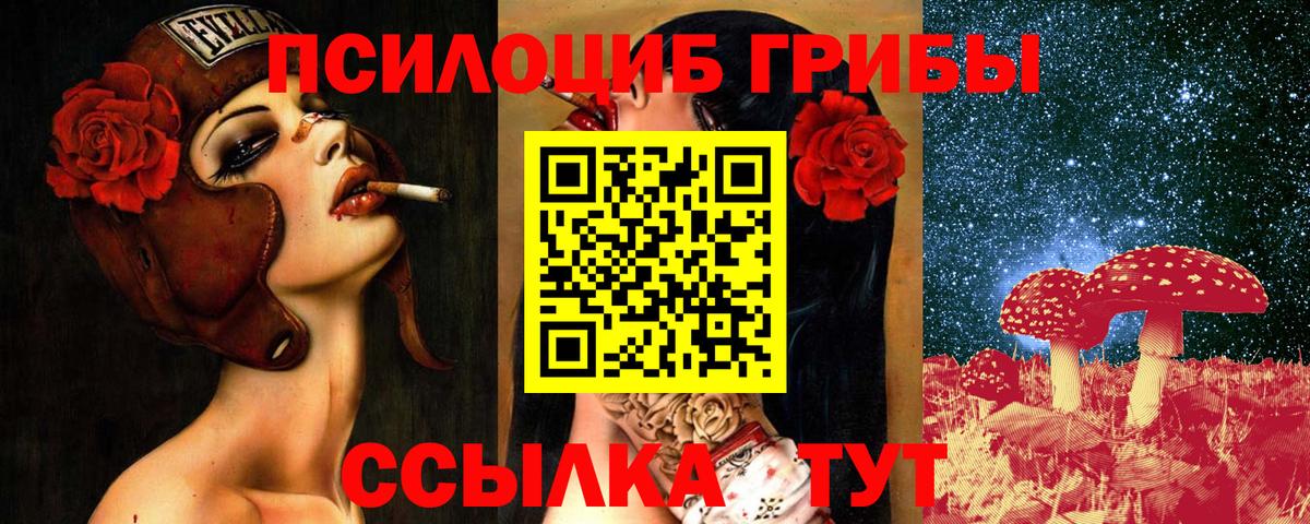 Галлюциногенные грибы Cubensis  Вход с VPN  Нижний Новгород  Галлюциногенные грибы мухоморы 